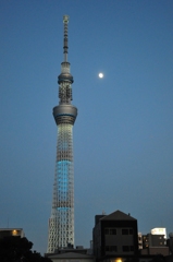 粋