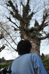 時の流れを背中で語る