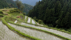 樫原の棚田