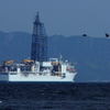 先導２羽　CHIKYU－ちきゅう