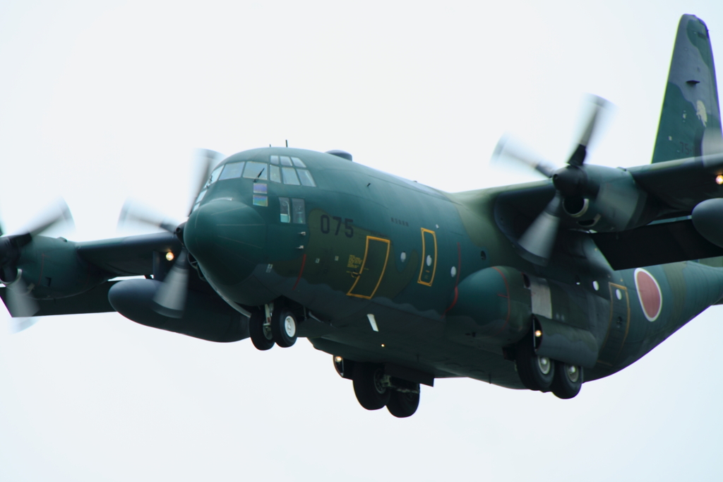 JASDF　C-130 075