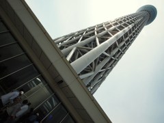 世界一の美脚 Ⅱ
