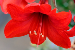 こころを燃やせ