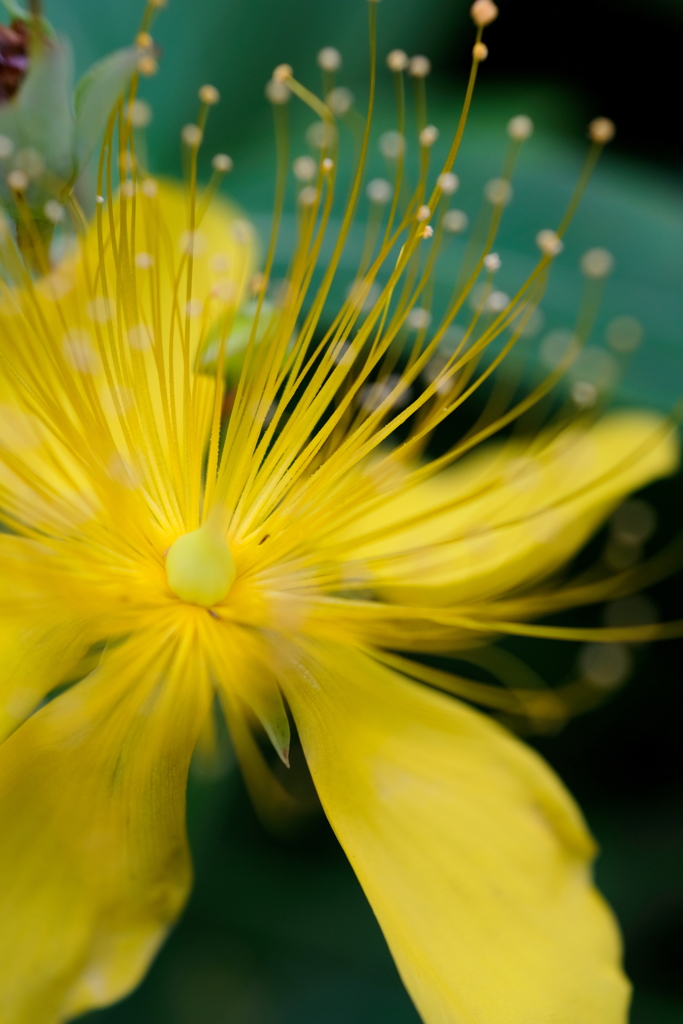 雨音が聴こえる