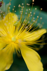 雨音が聴こえる
