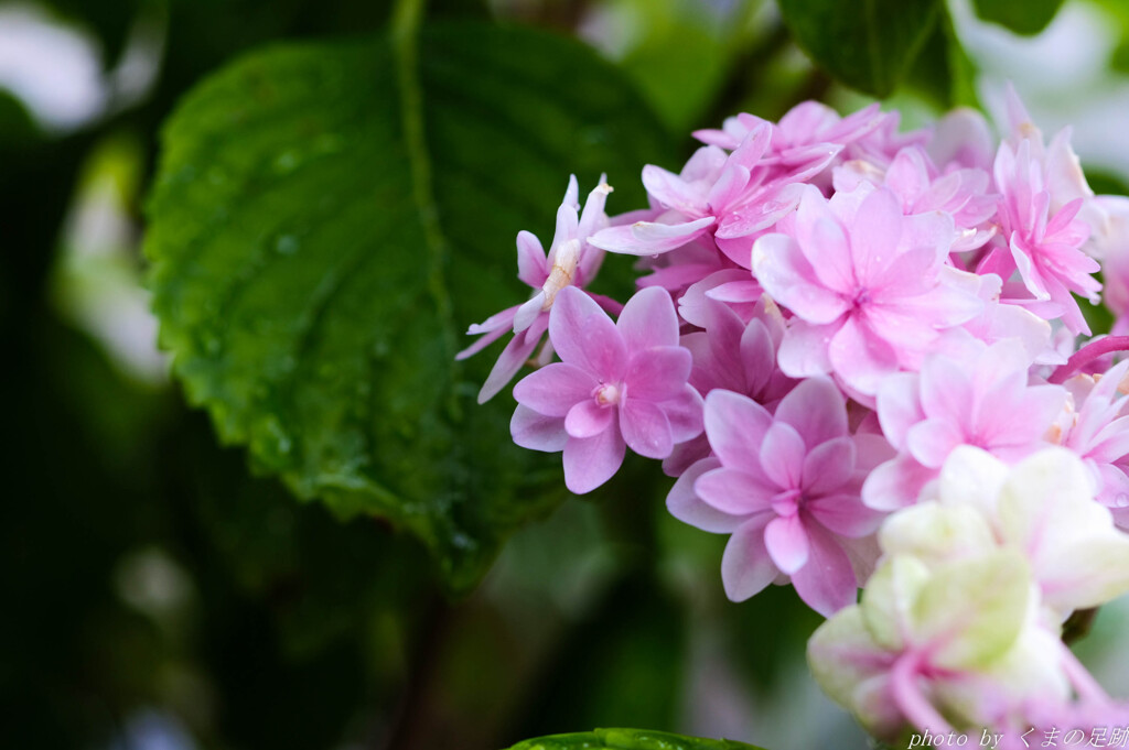 待ちくたびれて