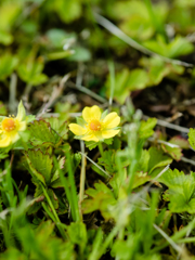 お暇なら拡大してね