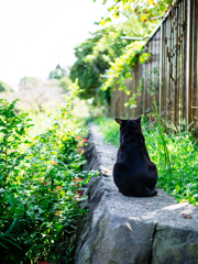 待ち人来らず