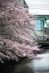 目黒にゃ負けねぇ