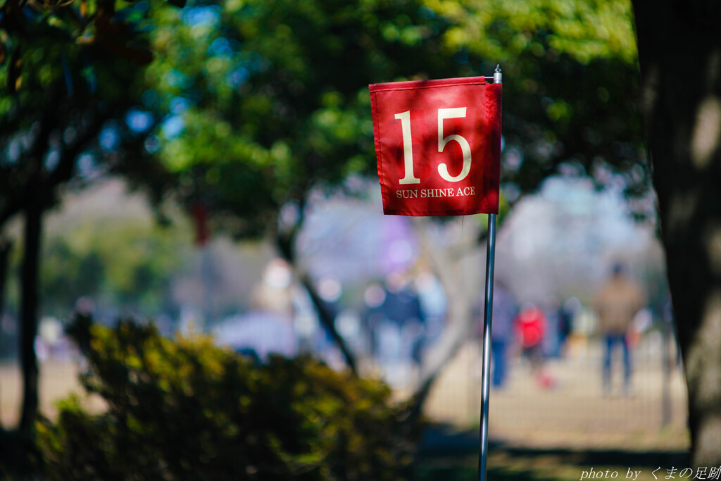 flag No. 15