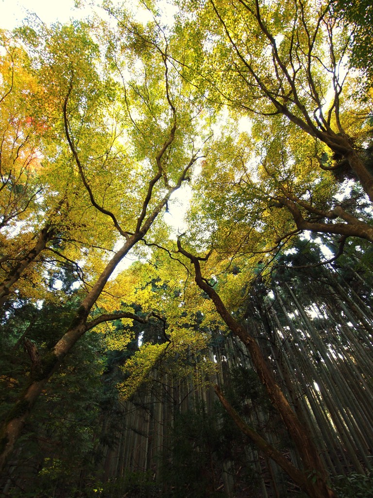 京都補完計画 其ノ伍拾陸