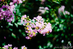 すべらせません、手と口は。