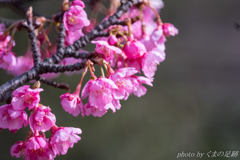 僕はどこにいるのだろう