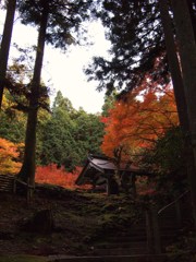 京都補完計画 其ノ伍拾柒