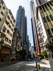 高層ジャングル
