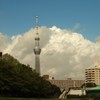 夏の終わりにⅦ