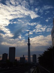 嵐の予感