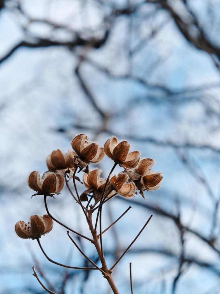 はぁ～るよこい