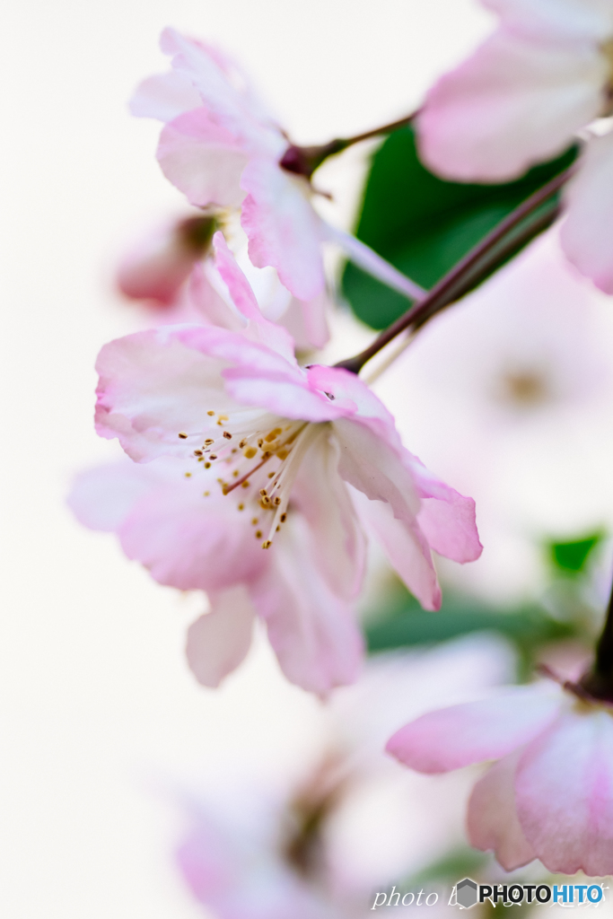 そのままの君でいて