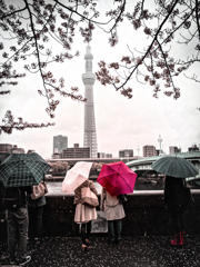 春雨じゃ