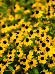 台風がくるぞ～!!