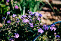 とりあえずいこっか