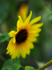 さよならと手を振るように