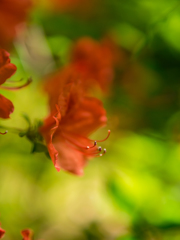 存分に撮影したＧＷの思い出