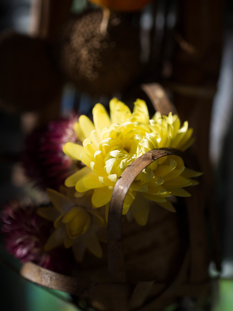 花かごの愛しさ