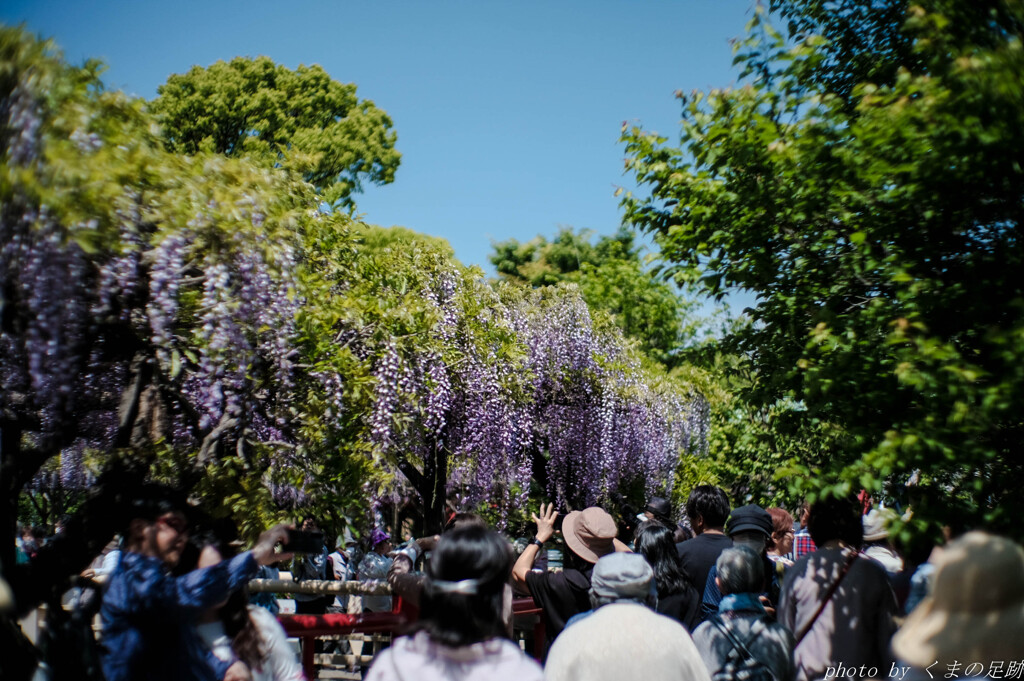 4月19日 天神通信