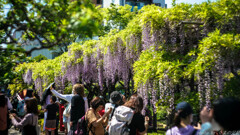 4月20日　天神通信 2