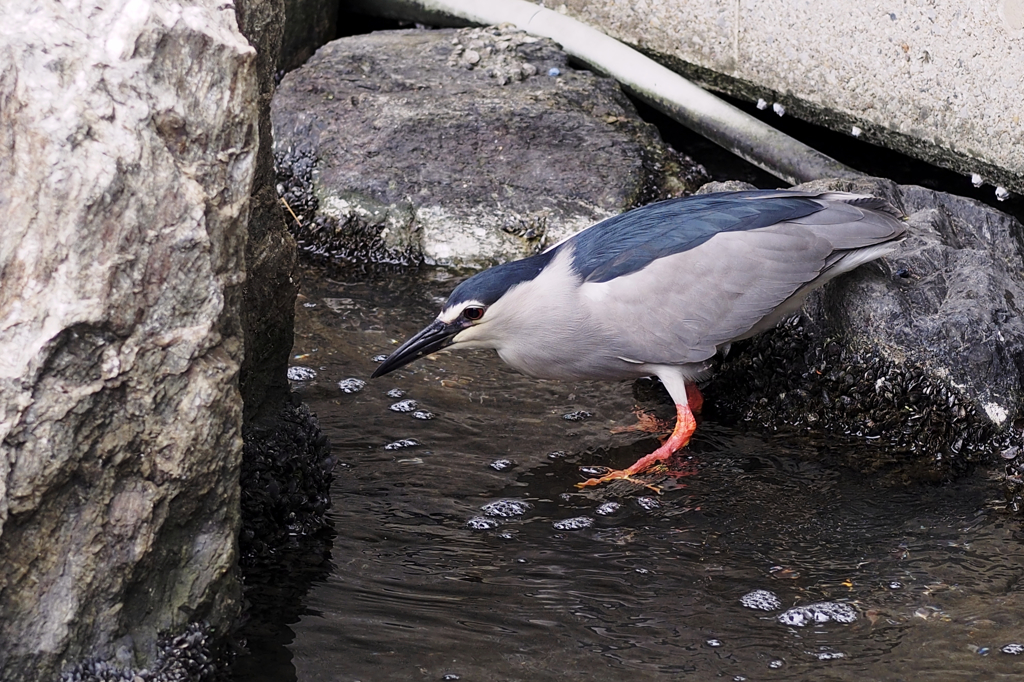 壁にぶつかることもある