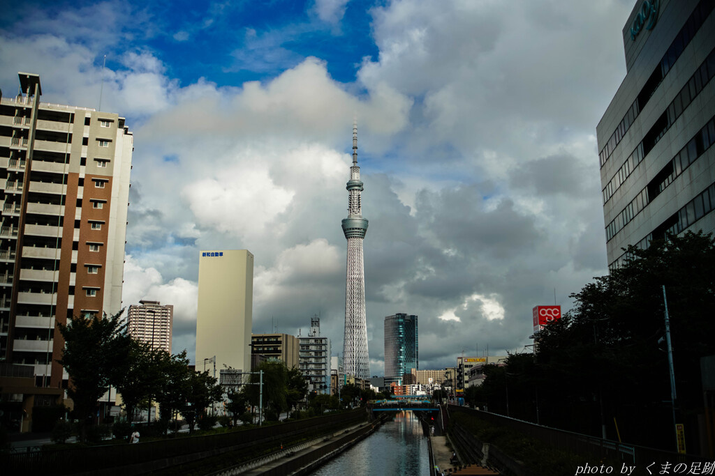 明日の天気もわからない