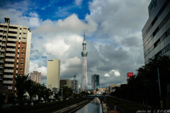 明日の天気もわからない