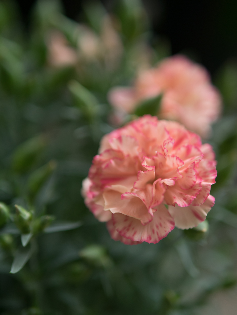 言葉にはしないけど･･･。