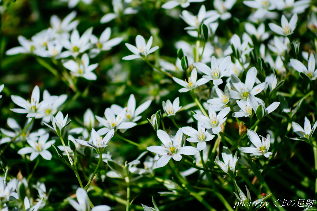 遠ざかる連休に思いを馳せて