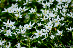 遠ざかる連休に思いを馳せて