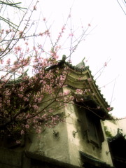 惜春