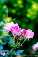 ロシアンルーレット