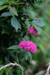 隠れていないで出ておいで