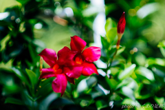 季節はうつろう