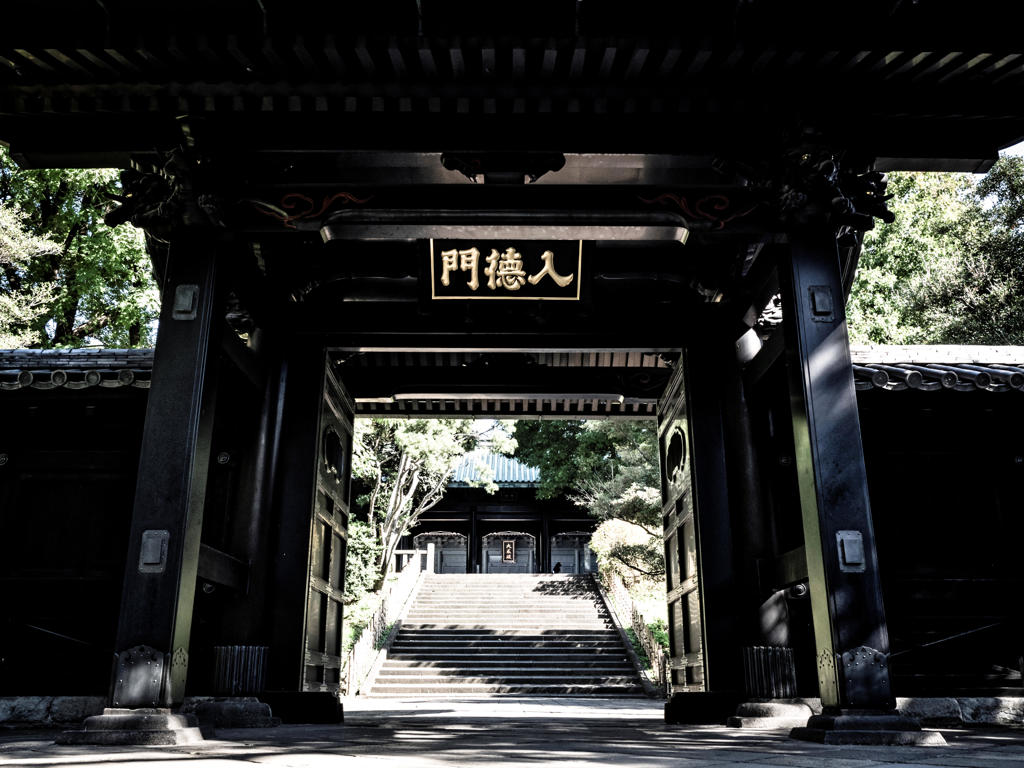 門