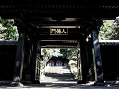 門