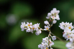 ながぁ～く愛して