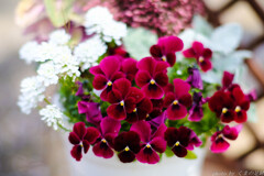 オーソドックスに