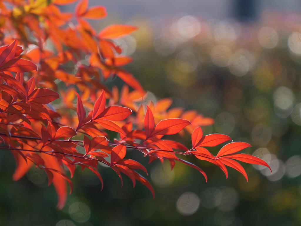 清涼･･･寒いんですが