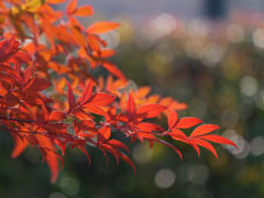 清涼･･･寒いんですが