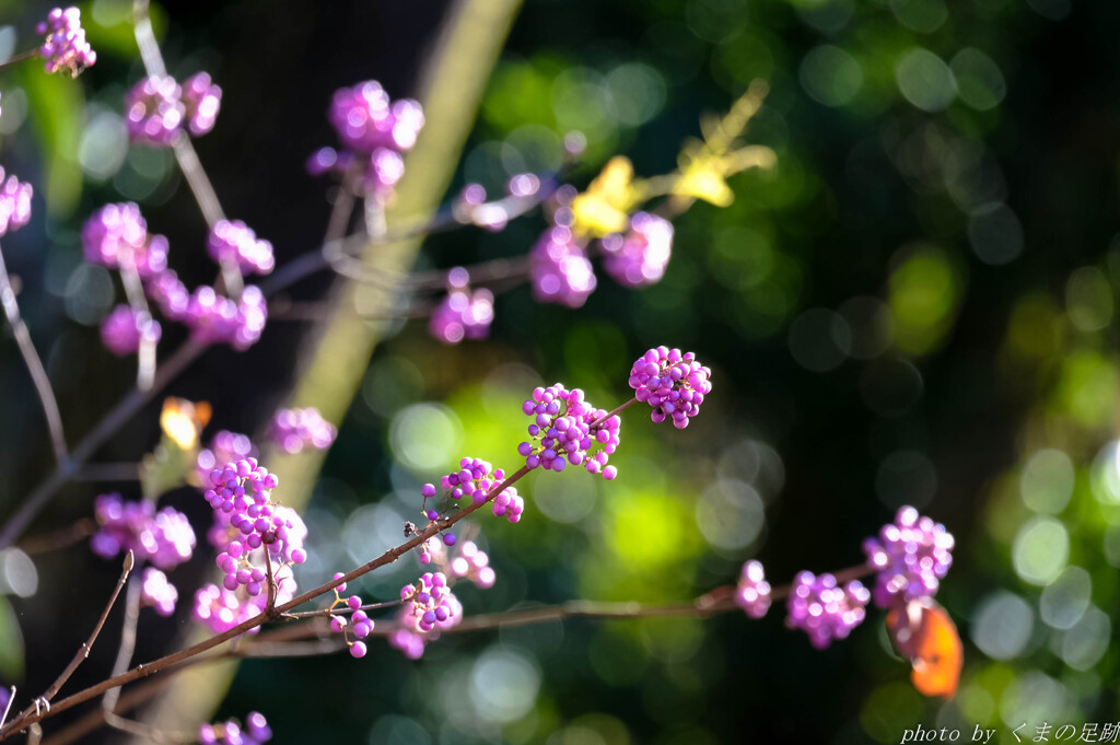 玉より出でて玉より