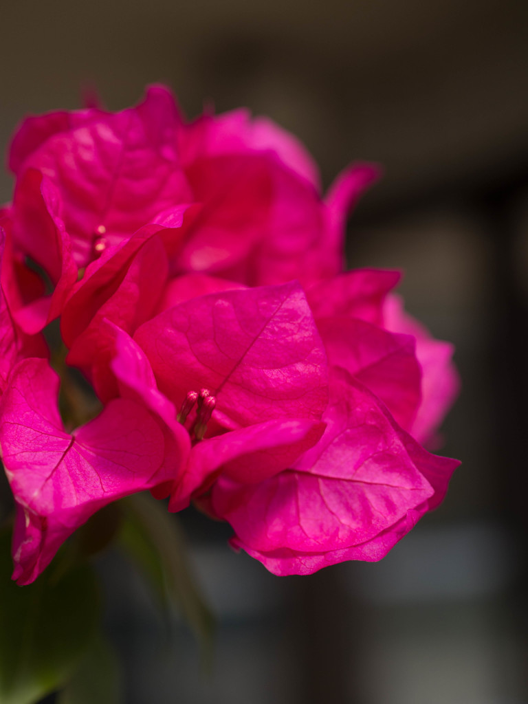 悩んでいるうちが花