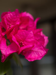 悩んでいるうちが花